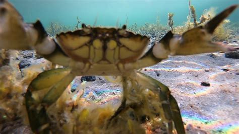 Mama Drama 2025 𝚆𝚊𝚝𝚌𝚑 On Viewer-supported Platforms
