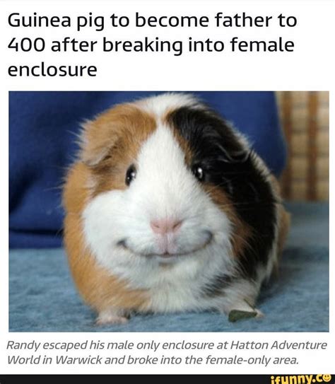 On Becoming A Guinea Fowl 2025 𝙵𝚞𝚕𝚕 Mo𝚟ie
